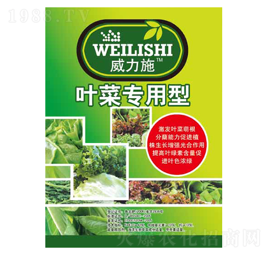 �~�ˌ�����-����ʩ