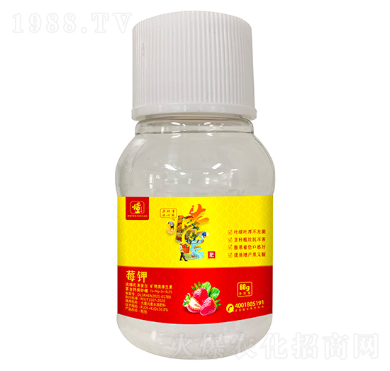 ��ݮ��(zhu��n)������a(ch��n)Ʒ-ݮ�-���ý�