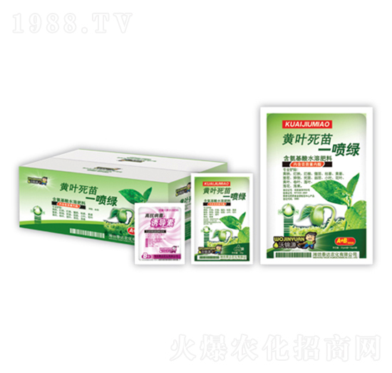 �S�~����һ���G-̩�_�r(n��ng)��