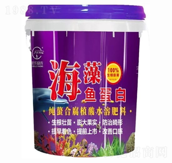 �����~����-�S�����r