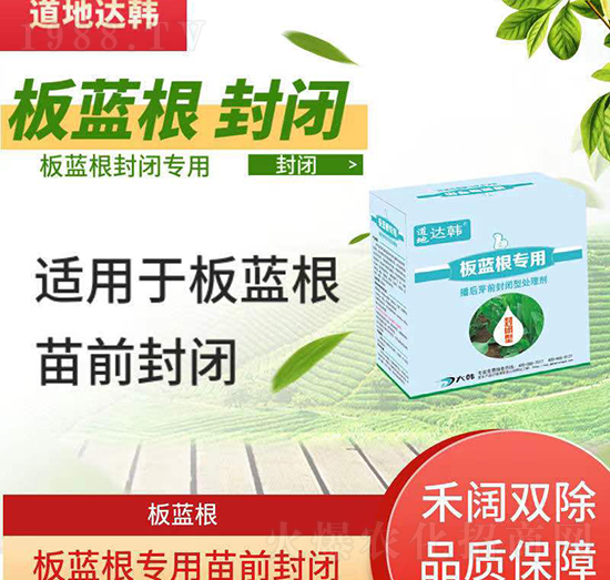 ���{�����݄�-���{������ѿǰ-���{������-���n