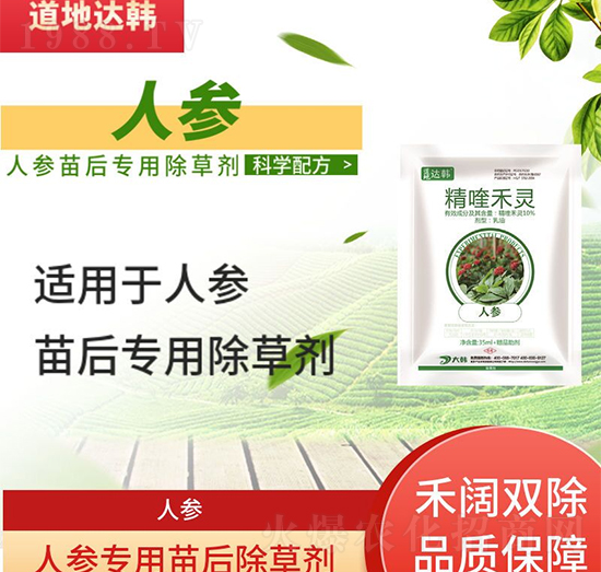 �˅����݄�-�˅����-�˅���(zhu��n)��-���n