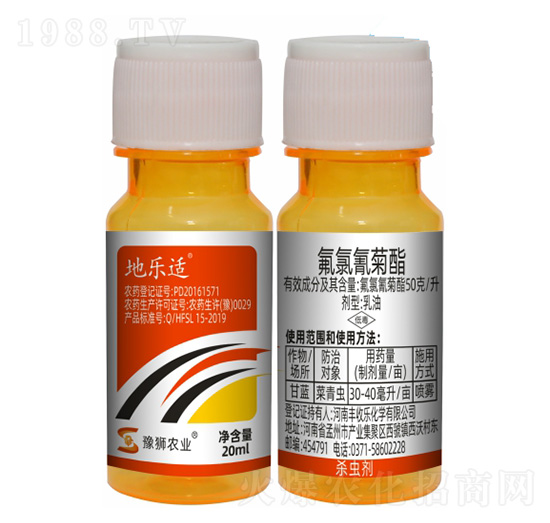 50��ÿ�����������-�ؘ��m-�S�՘�