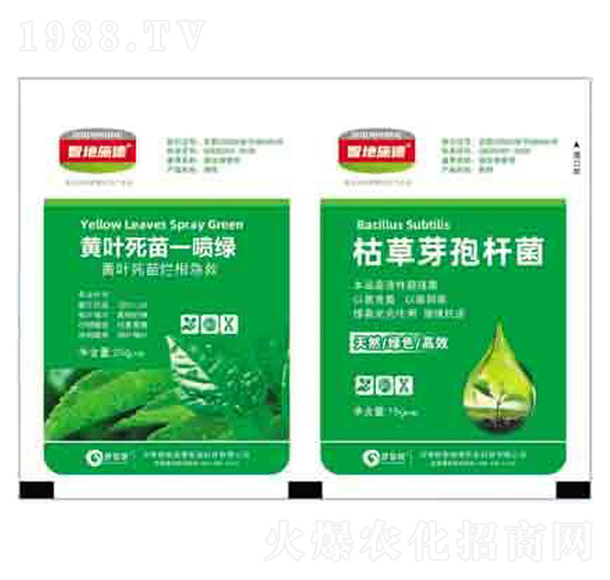 黃葉死苗一噴綠+枯草芽孢桿菌 潤澤