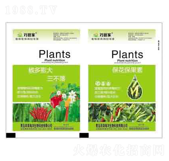 �������������+���������� ����