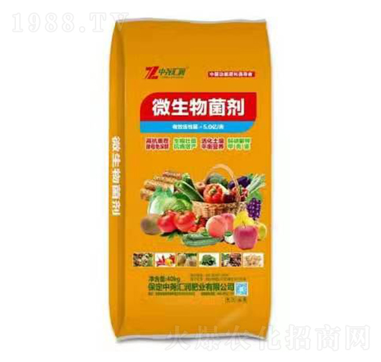 ΢������� �Ј�R��