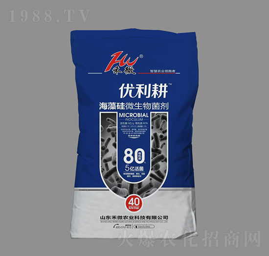 海藻硅微生物菌劑（5億活菌）-優(yōu)力耕-禾微