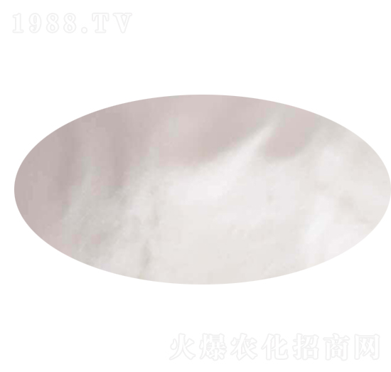 99.4%�����-ʥ�d����