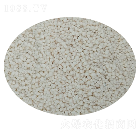 �w����ȩ��ጵ��� ¡��Դ����