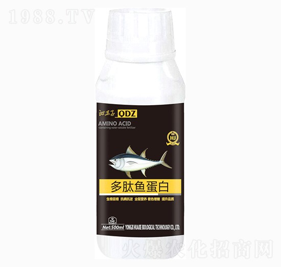 �����~����-�A������