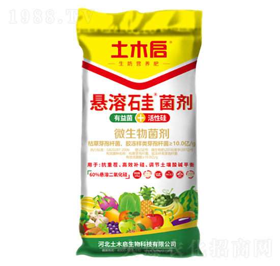 ���ܹ���� ��ľ������