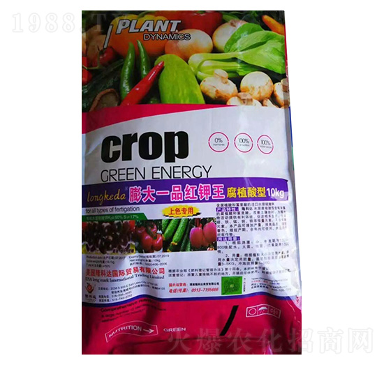 一品紅鉀王 隆科達