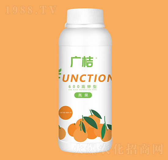 �V��600�����-�G���r