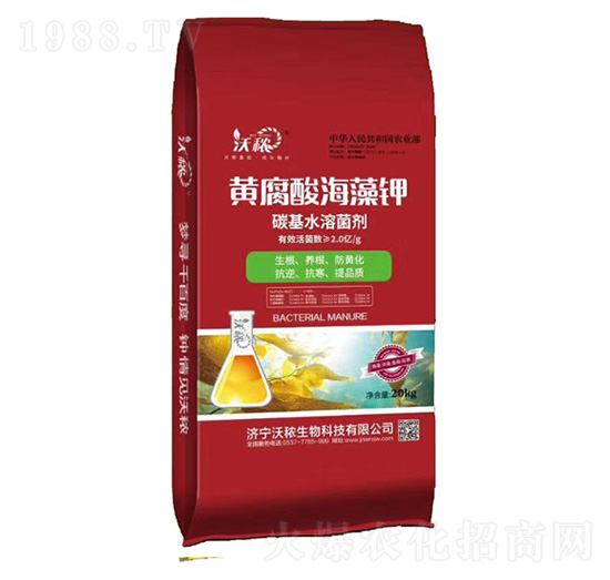 �S���ả��� ��������