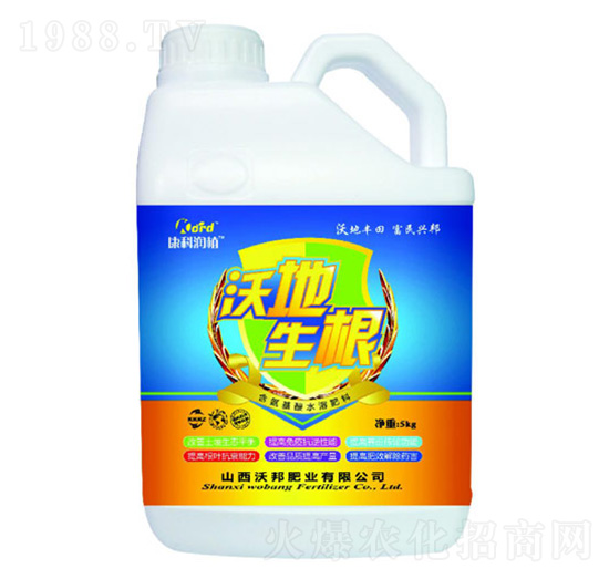 �ֵ����� �ְ�ʘI(y��)