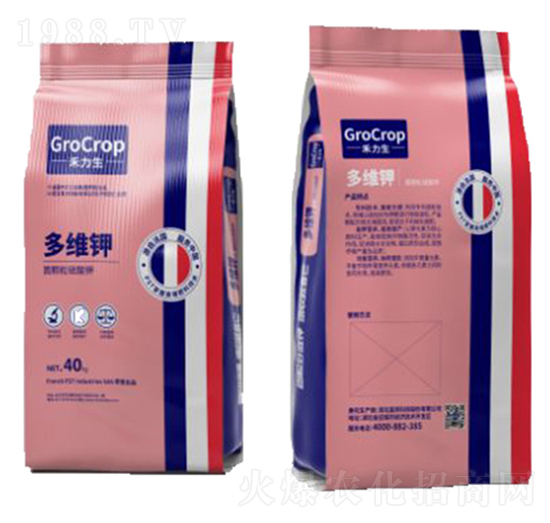 ��S�-������-����Ƽ�