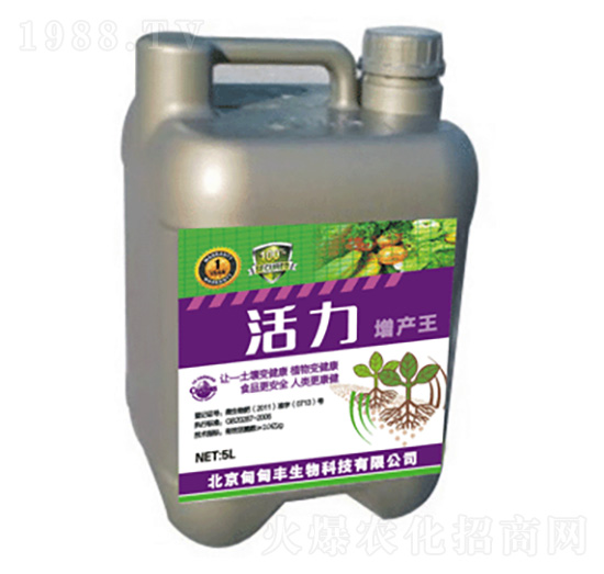 ���a(ch��n)��-����-����S