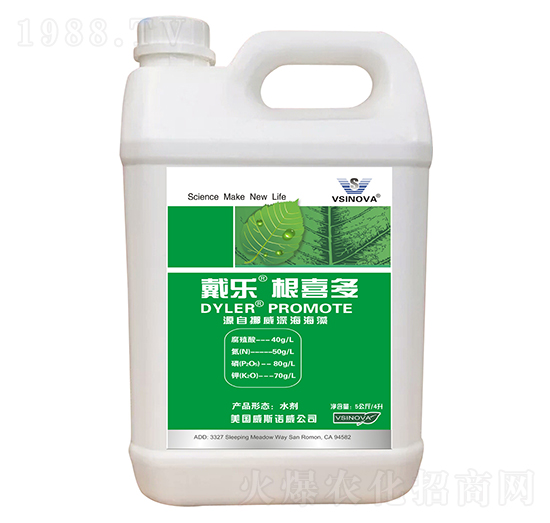 戴樂根喜多-威斯諾威