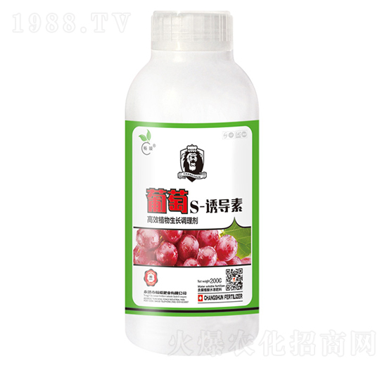 ����S-�T��(d��o)��-��˲