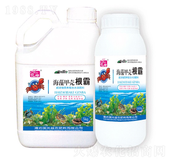 ����ך�����-�������r