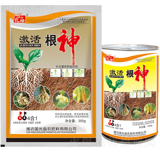 �������-��(gu��)�����r(n��ng)