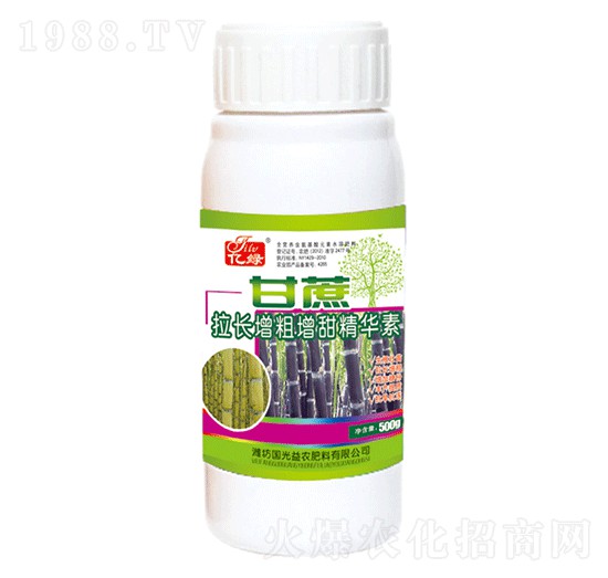 �������L(zh��ng)���������A��-��(gu��)�����r(n��ng)