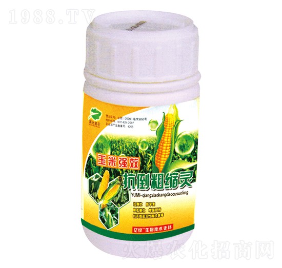 ���׿����ֿs�`-��(gu��)�����r(n��ng)