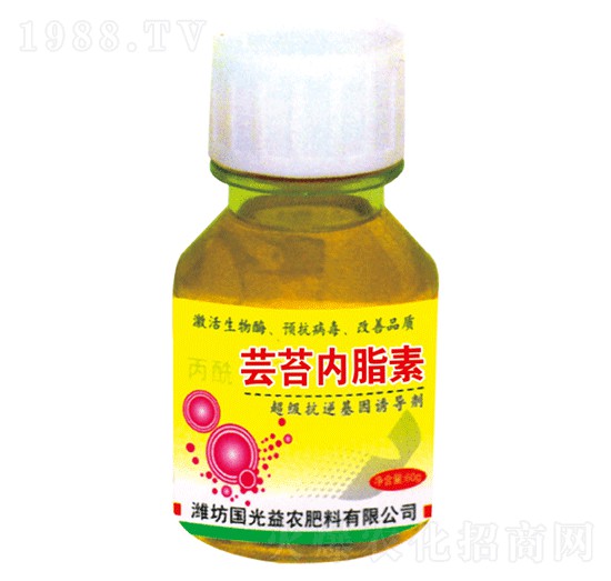 �|̦��(n��i)֬��-��(gu��)�����r(n��ng)