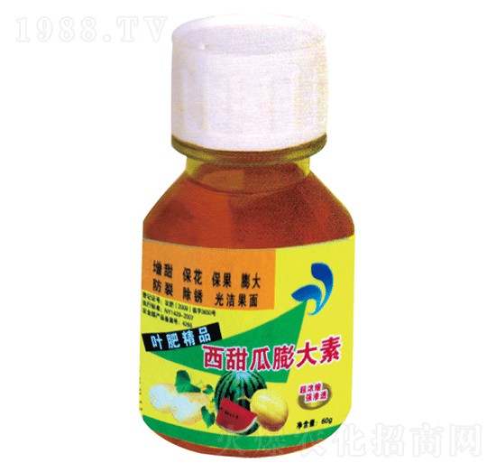 ����������-�������r(n��ng)