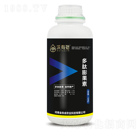 ���������-���Є�-���ճ�