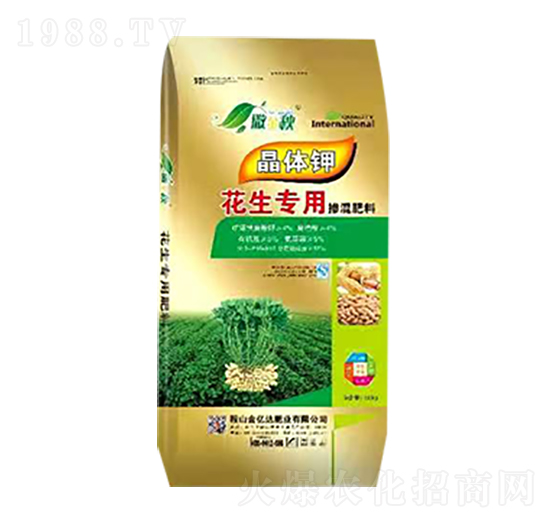 �������Ó������-������-���|�_(d��)�ʘI(y��)