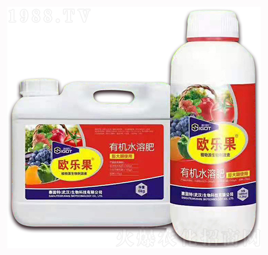 С���������ÚW����-ِ����