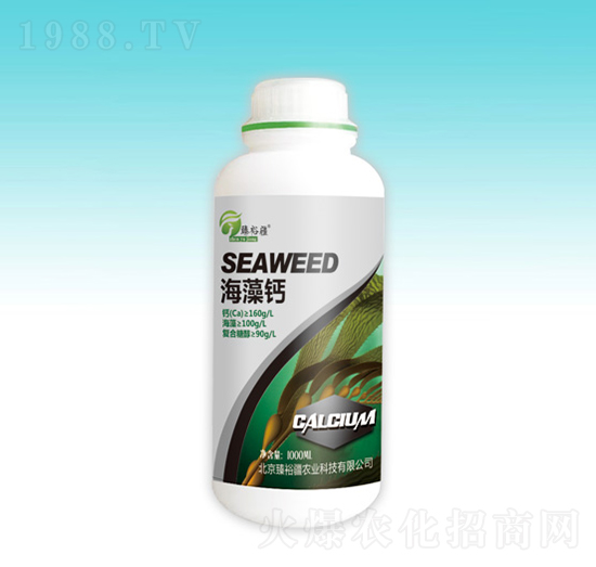 �����}-��ԣ��