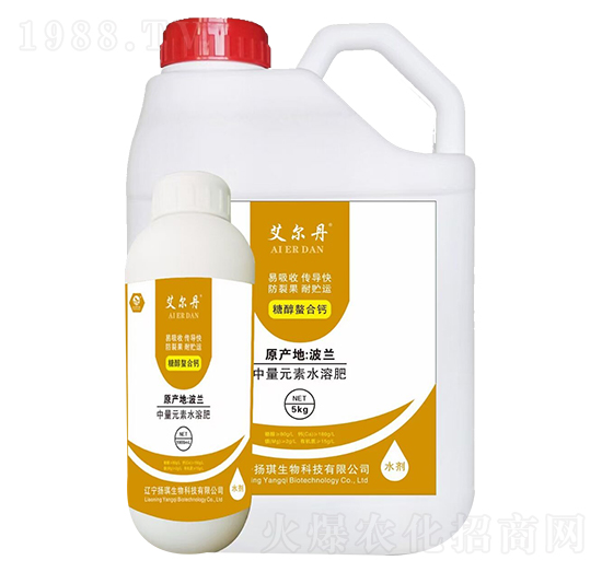 �Ǵ������}-������-�P������