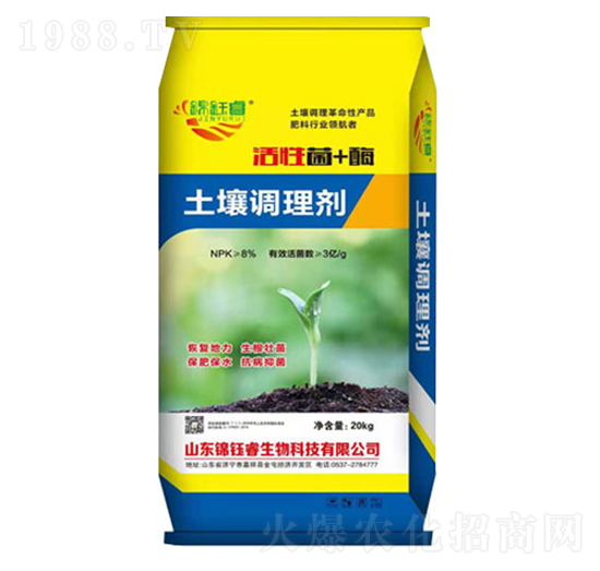 �����{�턩-�\��