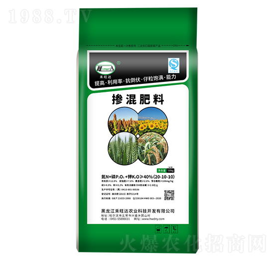 �������20-10-10-�g����-�����_(d��)