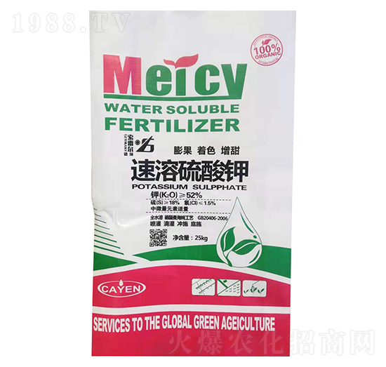 ���������-�����o�ʘI(y��)