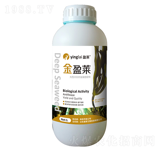 ��������Ȼ������ȡ��-��ӯ�R-ӯ�R����