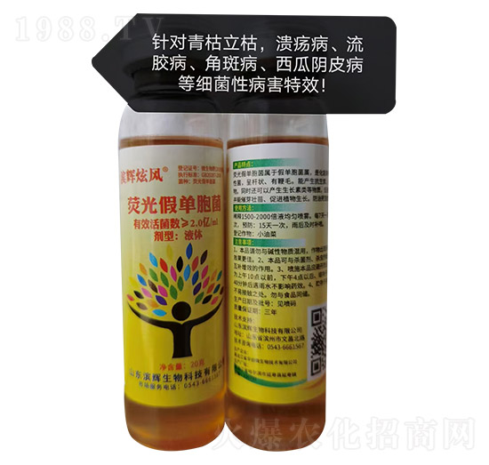 �ɹ�نΰ���-�I�x���L(f��ng)-�I�x����