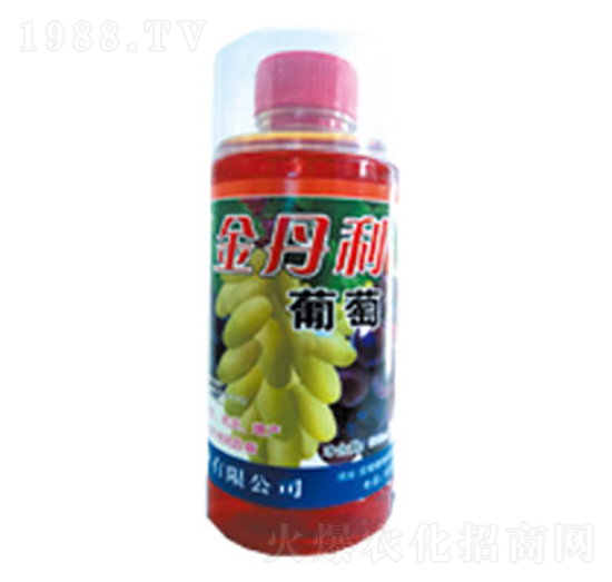 ���ь����~���-����-�|���t