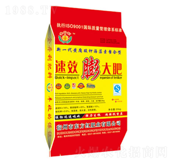 ����-�|���t