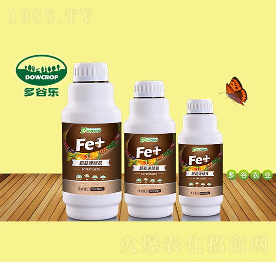 �����پG�F-��Ș�(l��)