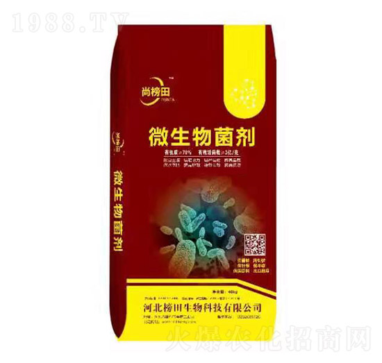 ΢�������-�а���-��������