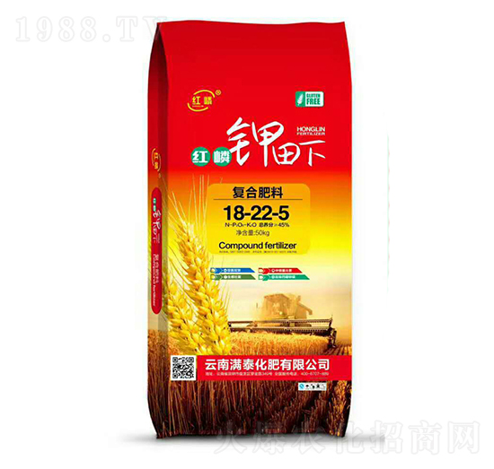 �t������ͺϷ�18-22-5-�M̩����