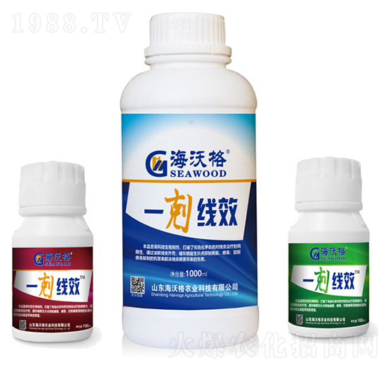 一剋線效-海沃格