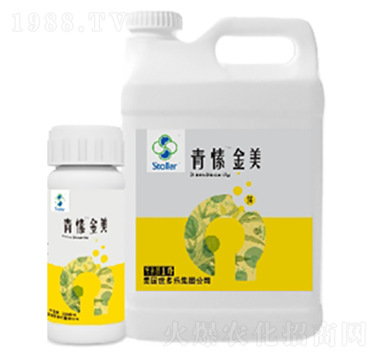 青愫金美-世多樂