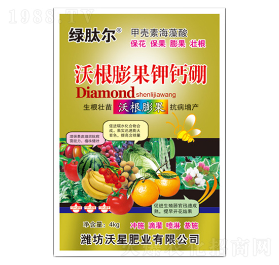 �ָ������}��-���ǷʘI(y��)