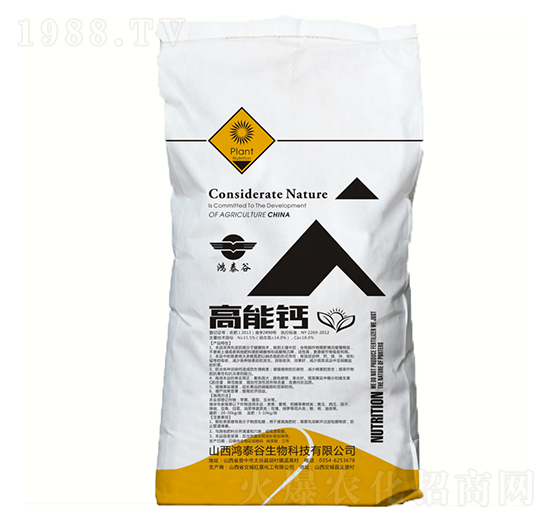 �����}-��̩��-̩������