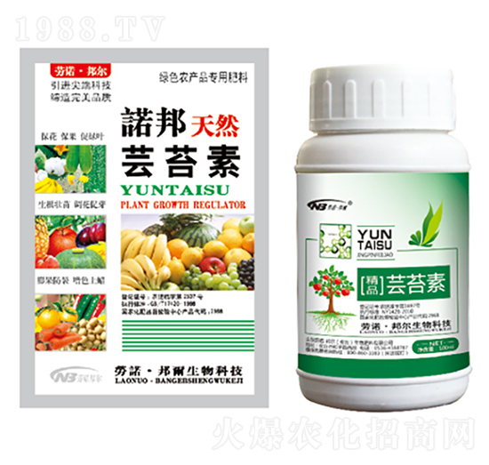 �|̦��-������