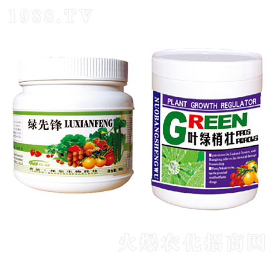 �G���h+�~�G�҉�-������